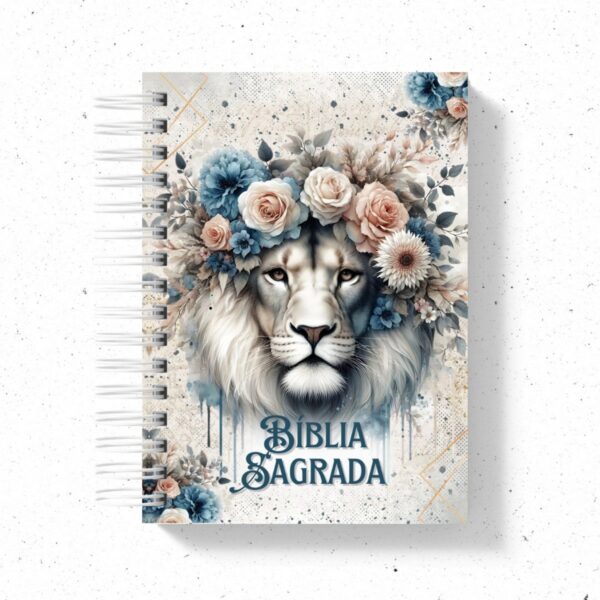 20 Capas Bíblias - Png - Arquivo Digital