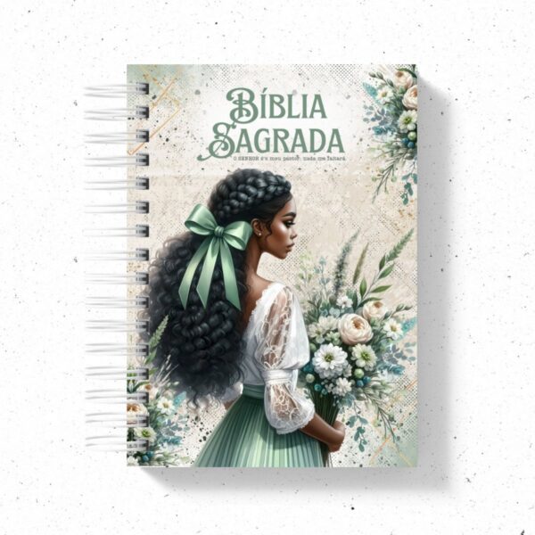 20 Capas Bíblias - Png - Arquivo Digital