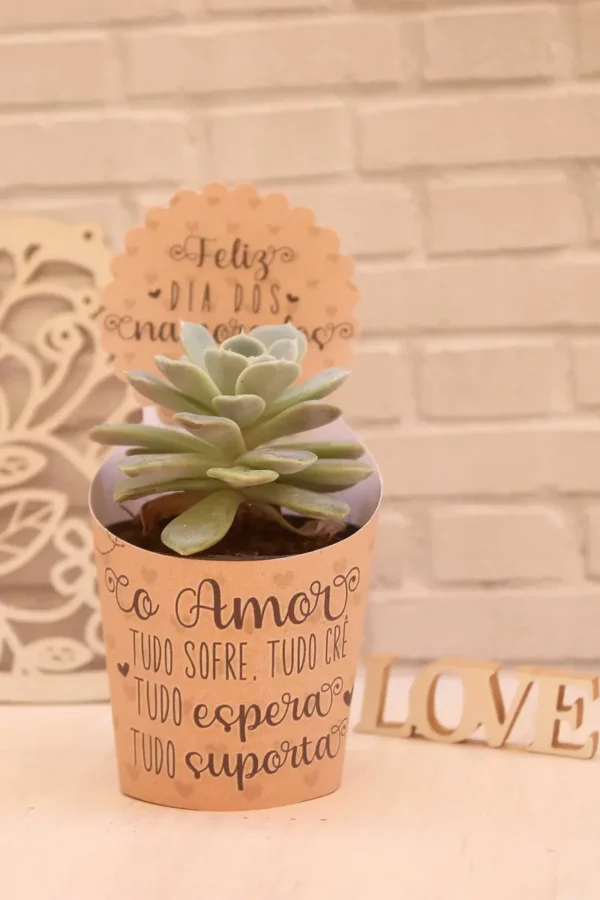 Presente DIY: Moldes de Suculentas para o Amor - Imagem 4