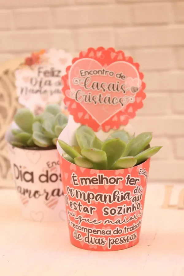 Presente DIY: Moldes de Suculentas para o Amor - Imagem 5