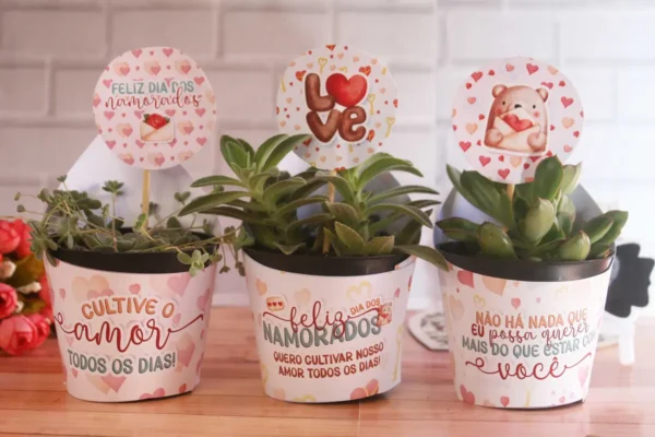 Presente DIY: Moldes de Suculentas para o Amor - Imagem 7
