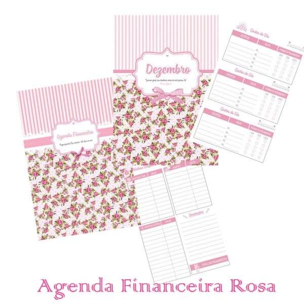 Agenda Financeira Rosa - Arquivo Digital