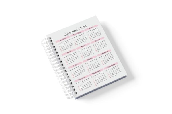 Agendamento Datado 2025 - Imagem 4