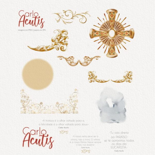 Artes Beato Carlo Acutis Png Ilustrações e Santinhos