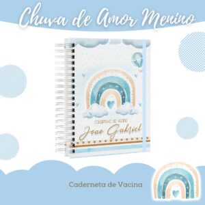 caderneta de saude chuva de amor menino arquivo digital nascimento