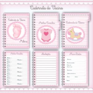 caderneta de vacina baby menina arquivo digital maternidade