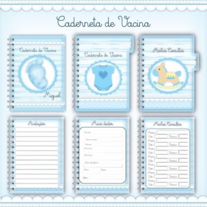 caderneta de vacina baby menino arquivo digital maternidade