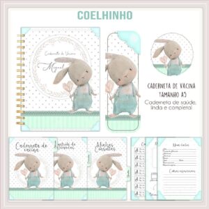 caderneta de vacina coelhinho menino arquivo digital caderneta de saude bebe