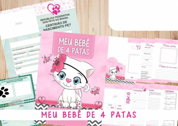 Caderneta Vacina e Registros Momentos - Cat Fêmea 1 - Imagem 2