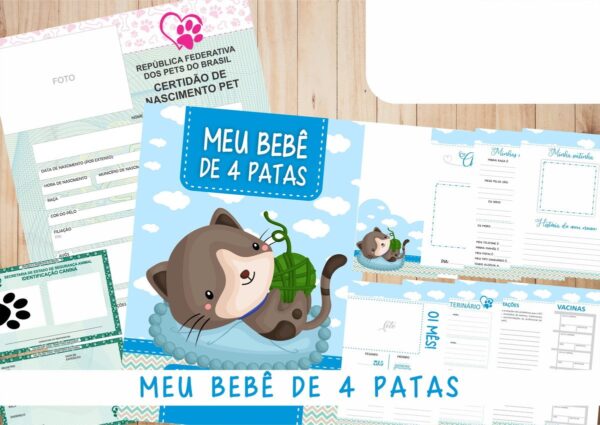 Caderneta Vacina e Registros Momentos - Cat Macho 1 - Imagem 2