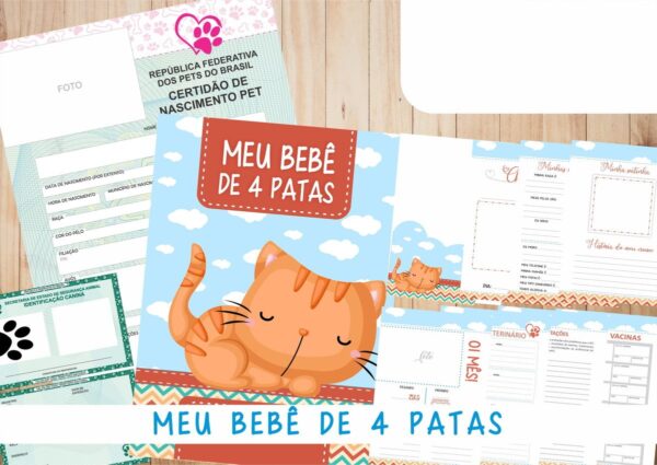 Caderneta Vacina e Registros Momentos - Cat Macho 2 - Imagem 2