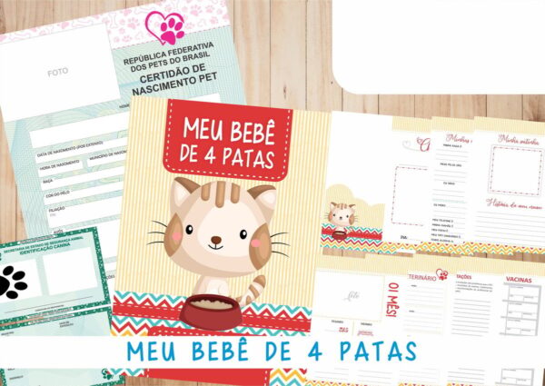 Caderneta Vacina e Registros Momentos - Cat Macho 3 - Imagem 2