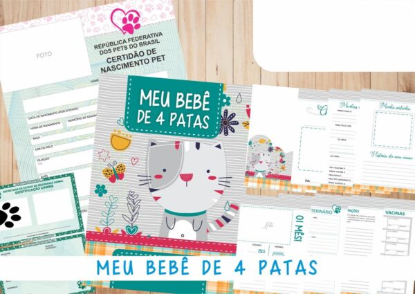 Caderneta Vacina e Registros Momentos - Cat Macho 4 - Imagem 2