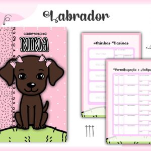 caderneta vacina labrador arquivo digital papel e cia