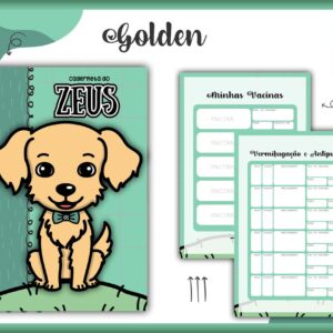 caderneta vacina pet golden macho arquivo digital personalizacao