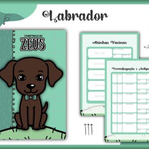 caderneta vacina pet labrador macho arquivo digital caderneta vacina pet