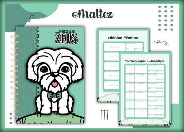 Caderneta Vacina Pet Maltez Macho - Arquivo Digital