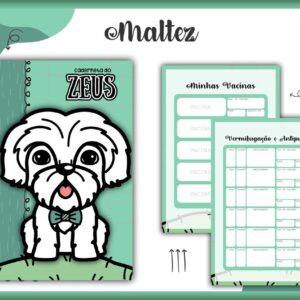 caderneta vacina pet maltez macho arquivo digital papelaria personalizada