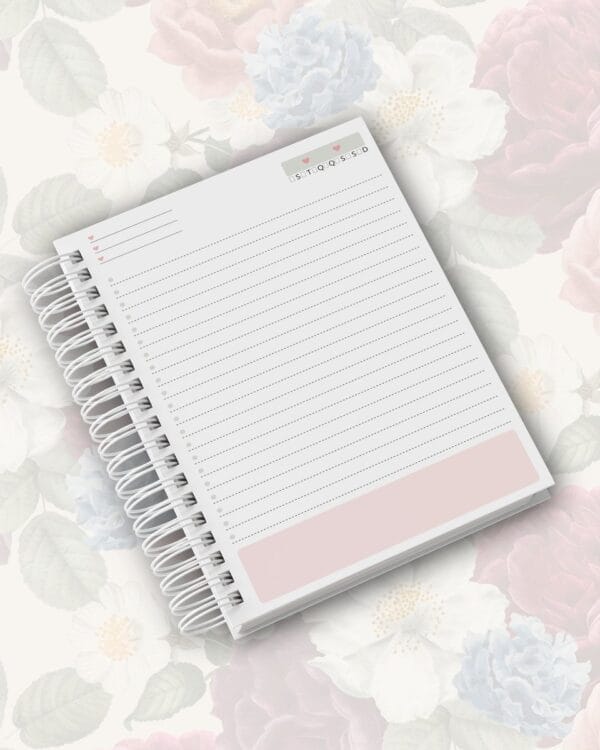 Combo Agendas Leoa - Arquivo Digital