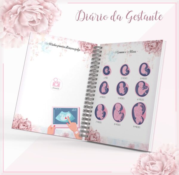 Diário Da Gestante - Arquivo Digital