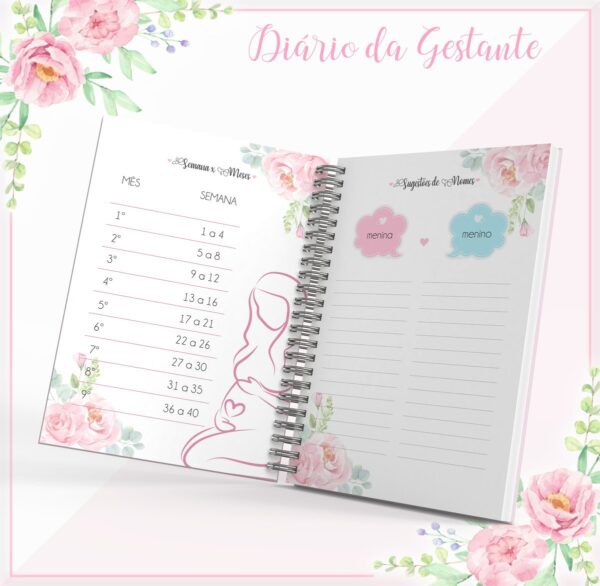 Diário Da Gestante - Arquivo Digital