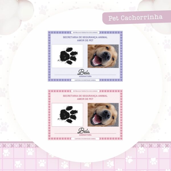 Identidade Pet Cachorrinha - Arquivo Digital