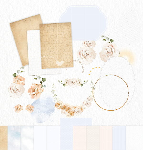 Kit Digital Ilustrações Nossa Senhora de Lourdes Imagens Png
