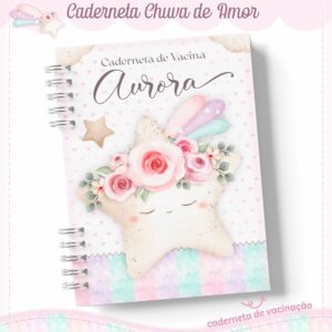 Livro e Caderneta Chuva de Amor Rosinha - Arquivo Digital