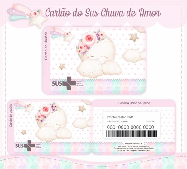 Livro e Caderneta Chuva de Amor Rosinha - Arquivo Digital