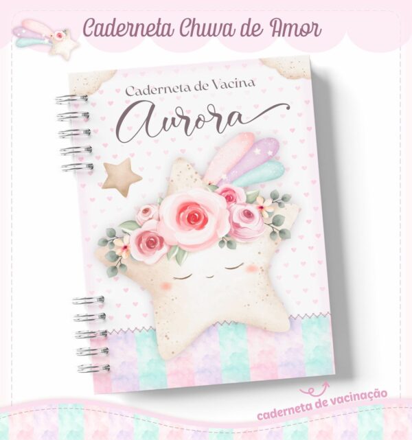 Livro e Caderneta Chuva de Amor Rosinha - Arquivo Digital