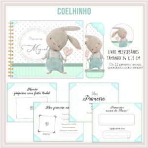 livro mesversario coelhinho arquivo digital bebe