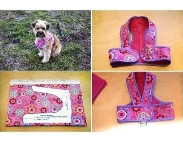 Moldes Roupas Pet Cães E Gatos 55 Modelos + Cirúrgica