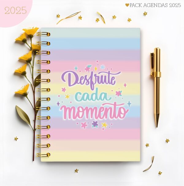 Pack Agendas Feminina 2025 - Arquivo Digital