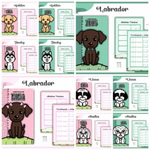 pack cadernetas vacinas pets dogs arquivo digital papel e cia
