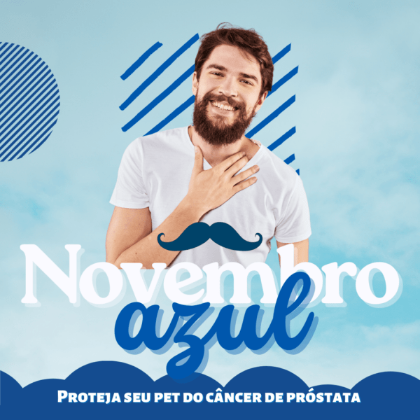 Pack Canva Novembro Azul Template Editavel 30 Artes Bonus 5