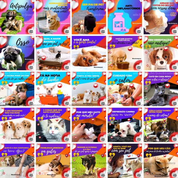 Pack Canva Pet Shop Petshop Templates Editaveis 100 Artes Bonus 2