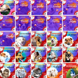 Pack Canva Pet Shop Petshop Templates Editaveis 100 Artes Bonus 3