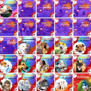 Pack Canva Pet Shop Petshop Templates Editaveis 100 Artes Bonus 3