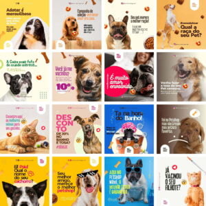 Pack Canva Pet Shop Petshop Templates Editaveis 39 Artes Bonus 2