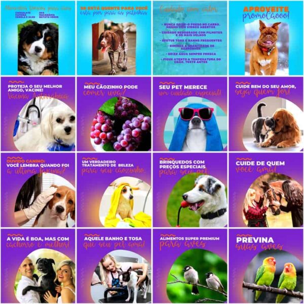Pack Canva Pet Shop Template Canva 200 Artes + Legendas - Imagem 2