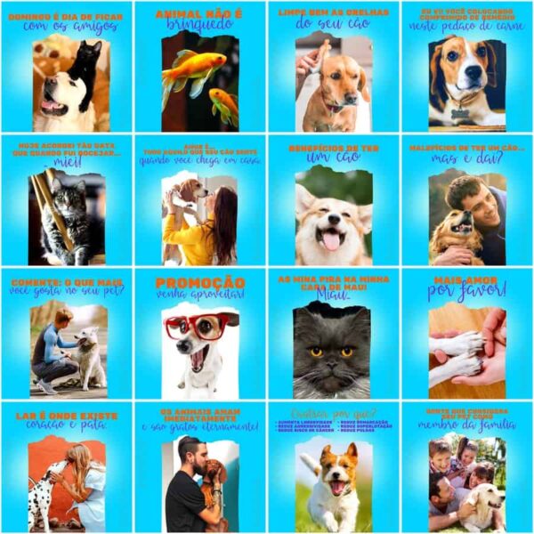Pack Canva Pet Shop Template Canva 200 Artes + Legendas - Imagem 11