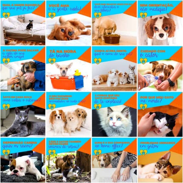 Pack Canva Pet Shop Template Canva 200 Artes + Legendas - Imagem 7