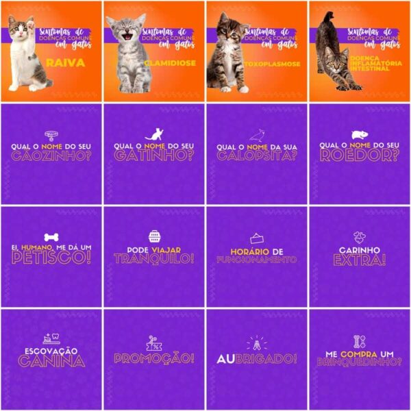 Pack Canva Pet Shop Template Canva 200 Artes + Legendas - Imagem 12