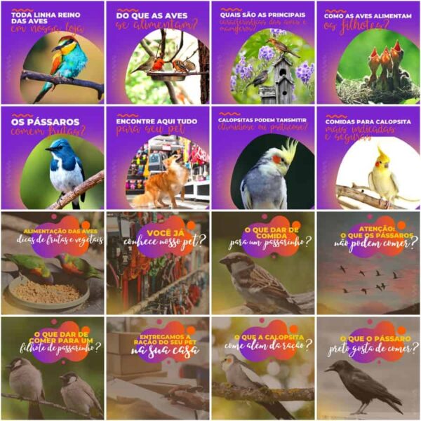 Pack Canva Pet Shop Template Canva 200 Artes + Legendas - Imagem 6