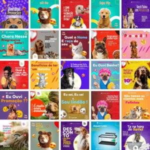 Pack Canva Petshop Pet Shop Templates Editaveis 360 Artes Bonus 5