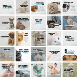 Pack Canva Veterinario Pet Shop Petshop 20 Templates Editaveis 25 Artes Bonus