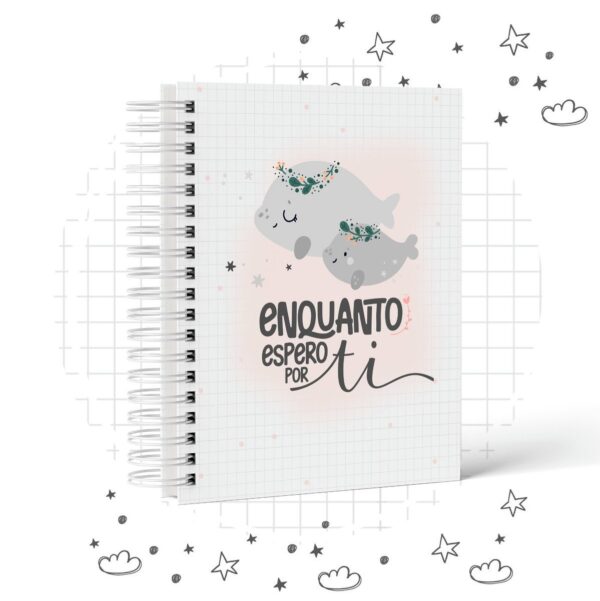 Pack Diario De Gestante Enquanto Espero Por Ti 4