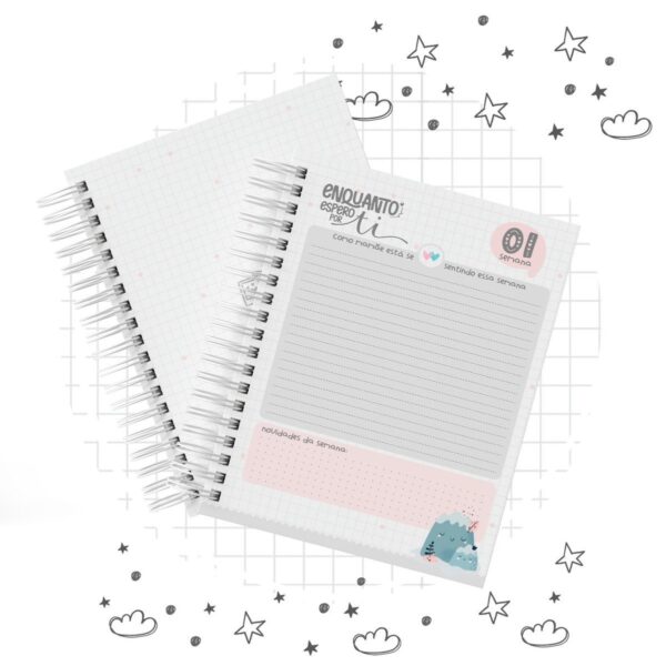 Pack Diario De Gestante Enquanto Espero Por Ti
