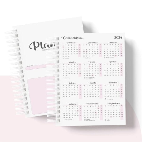 Planner Financeiro A5 - Arquivo Digital