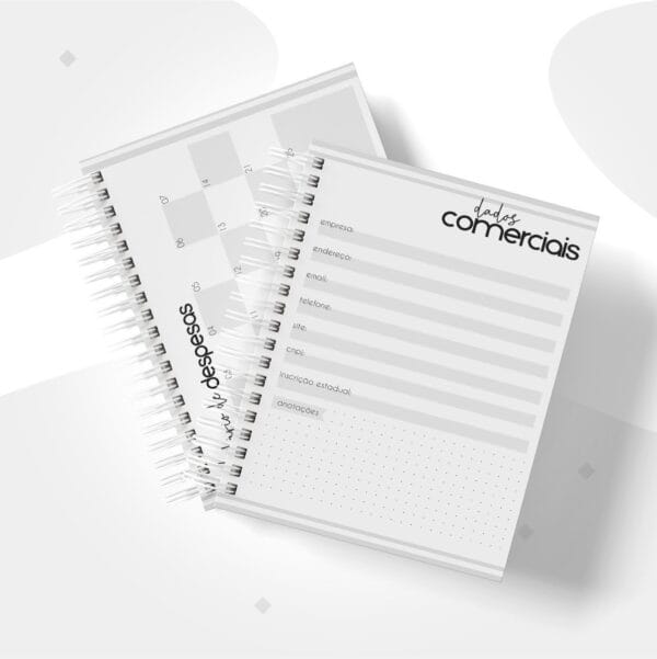 Planner Financeiro Empresas Masculino - Arquivo Digital